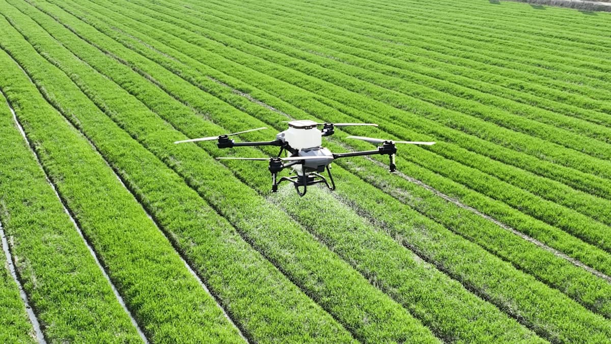 Drone agrícola pulverizando um campo de plantação em fileiras — aplicação de precisão no agronegócio